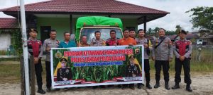 Penyaluran Benih Jagung Hibrida Upaya Meningkatkan Ketahanan Pangan Di Mempawah Hulu