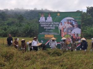 Dandim 1209/Bky Hadiri Panen Raya Padi Bersama Forkopimda Bengkayang