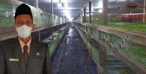 Dinas Pendidikan Bengkayang Soroti Dampak Kandang Ayam Terhadap SDN 07 Dungkan, Minta Audit Lingkungan